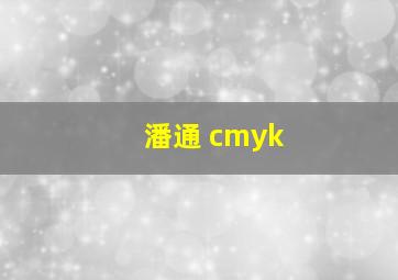 潘通 cmyk